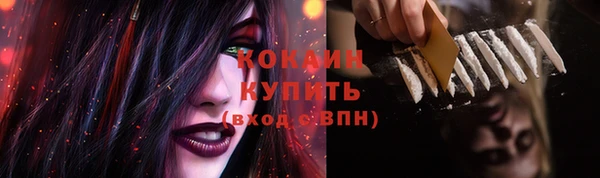 гидропоника Белокуриха