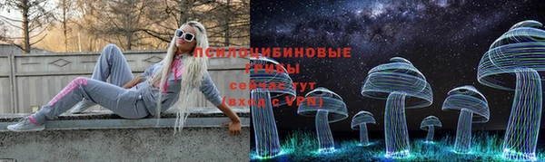 ешки Семикаракорск