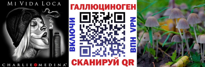 Галлюциногенные грибы мухоморы  гидра ONION  Чегем 